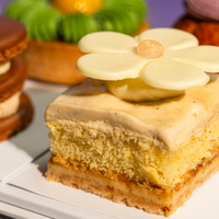 Four Seasons Petit Gâteaux