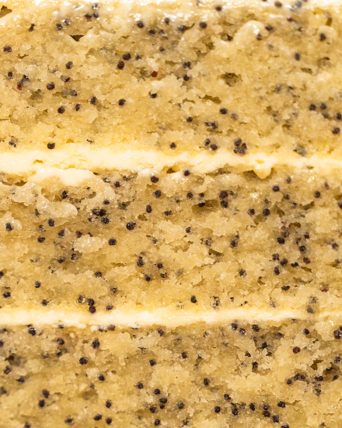 Lemon Poppyseed Cake