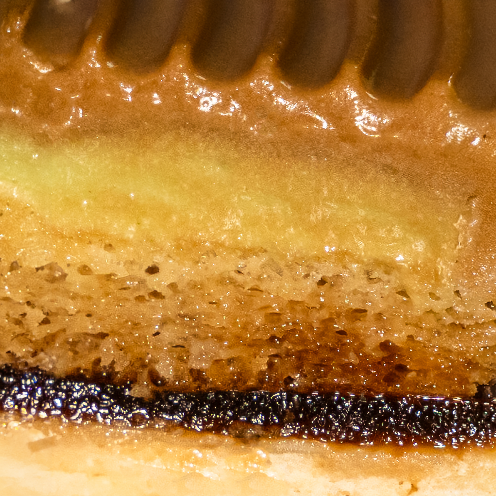 Pandan Coffee Tart 7 Inch