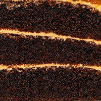 Salted Caramel Chocolate Cake