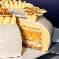 Vanilla Mirror Glaze Entremet