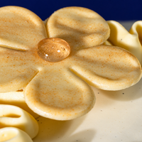 Vanilla Mirror Glaze Entremet