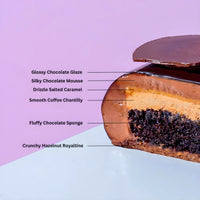 Midnight Chocolate Cake