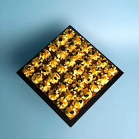 Square Sourdough Carrot Walnut Cake Bites 9 Inch (1.2kg)